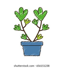plant in a pot