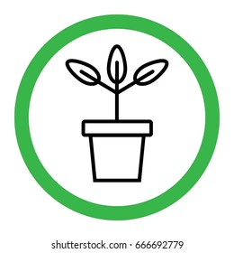 Plant pot 