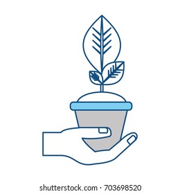 Plant in pot