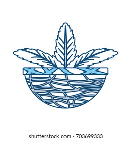 Plant in pot