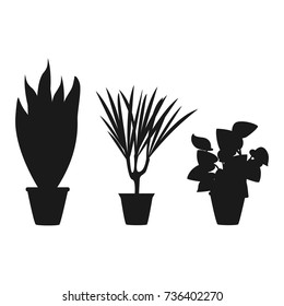 plant pot black