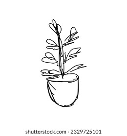 Planta en la olla. Blanco y negro. Ilustración vectorial en estilo doodle sobre fondo blanco