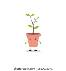  Plant pot or Pot Boy