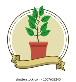 plant pot cartoon