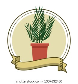 plant pot cartoon