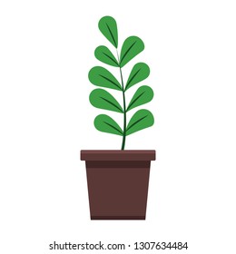 plant in pot cartoon