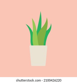 Plant in pot Cartoon Flat Vector Illustration
