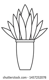 Plant pot decorative home cartoon vector illustration graphic design