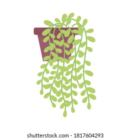plant in pot decoraton interior isolated design white background vector illustration