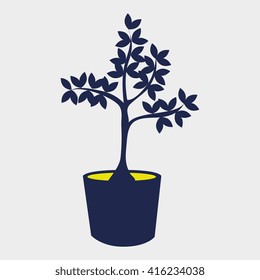 plant pot design 