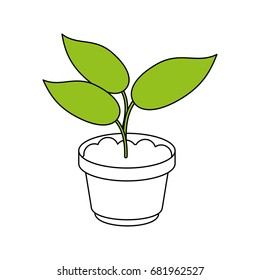 plant in pot design 