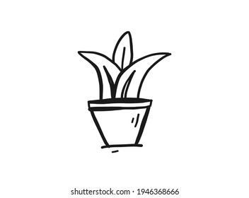 Plant and pot design drawing icon with line style. Hand Drawing or Sketch Icon For Graphic Design, Poster, Shirt Design and More.