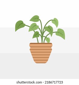 Plantilla vectorial de diseño de maceta