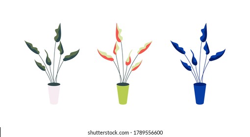 Plant in pot flat color vector objects set. Blue houseplant. Office and home decoration. Potted flowers isolated cartoon illustration for web graphic design and animation collection