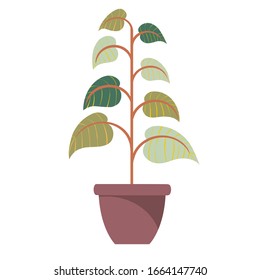 La planta en la olla. Diseño plano.Ilustración de vectores aislada en fondo blanco 