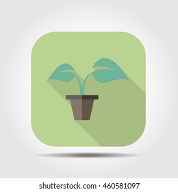 plant in pot flat icon with long shadow, vector illustration
