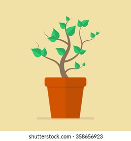 Plant in pot flat icon. Vector Illustration