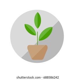 Plant in a pot flat illustration