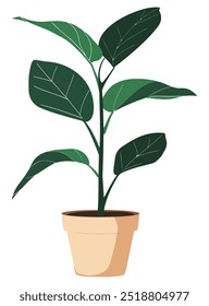 Plant in Pot. Flat Vector Illustration