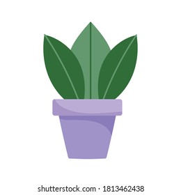plant in pot garden decoration isolated design white background vector illustration