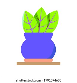 plant in pot. Gardening vector illustration