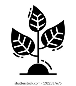 Plant pot glyph vector icon 