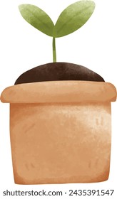 plant in a pot, green leaves, soil