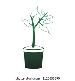 Plant in pot green lines