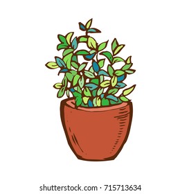 plant in the pot hand drawn stock vector illustration