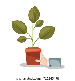 plant pot and hand in white background vector illustration