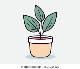 Plant in pot for home decoration. Houseplant vector illustration, isolated on white.