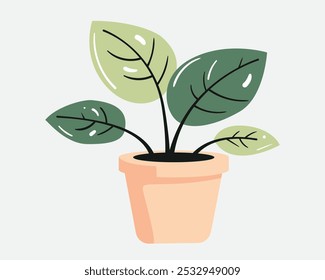 Plant in pot for home decoration. Houseplant vector illustration, isolated on white.