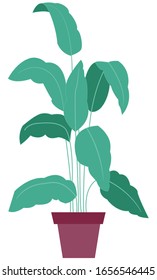 Plant in pot. Homeplant. Vector image.