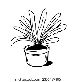 Plant in a pot. House decor element. Black color doodle sketch art vector illustration. Isolated on white background.