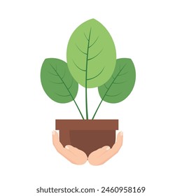 Plant pot in human hand, love nature vector illustration, care about the environment concept