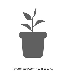 plant , plant pot icon