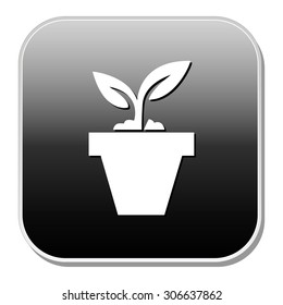 plant pot icon