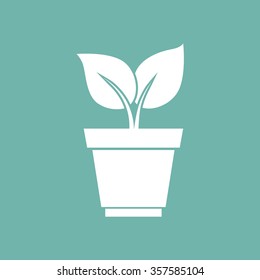 Plant in pot icon
