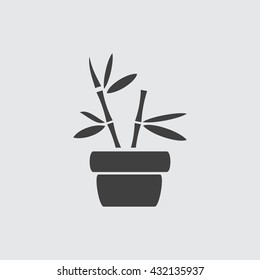 Plant pot Icon