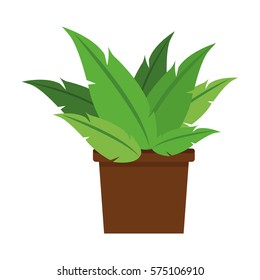 plant in a pot icon