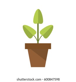 plant in a pot icon