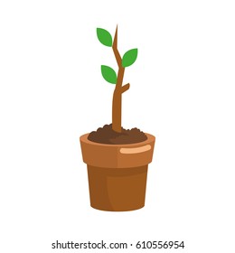 plant in a pot icon