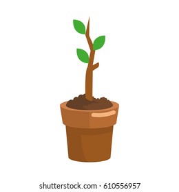 plant in a pot icon