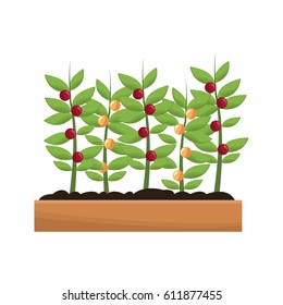 plant in a pot icon