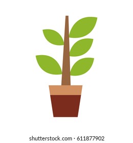 plant in a pot icon