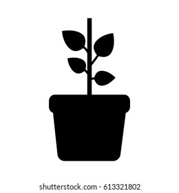 plant in a pot icon