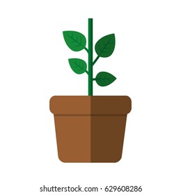 plant in a pot icon