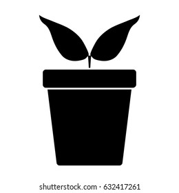 Plant In A Pot Icon