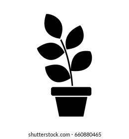plant in a pot icon