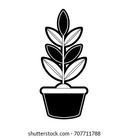 plant in a pot icon 